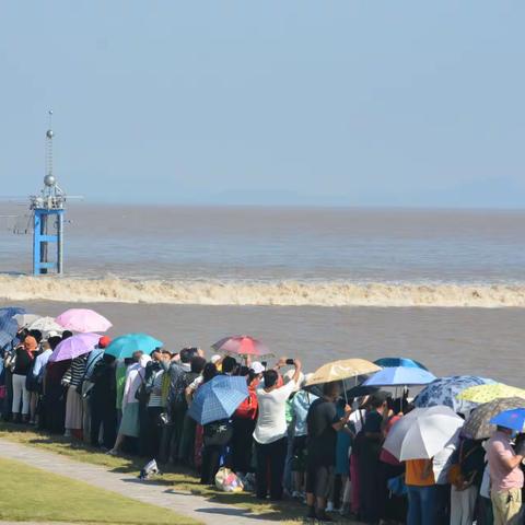 钱塘观潮（2021.9.26）