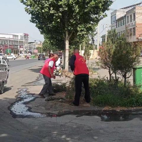 提升人居环境，共建美丽家园