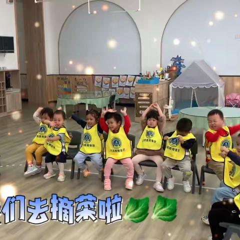 艺鸣湖岸音乐🎶双语幼儿园Dolphin班生态课程——“快乐采摘，收获喜悦”