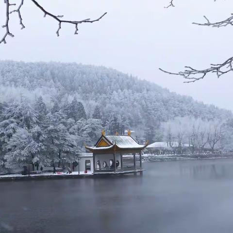 艺田舞校祝大家新年快乐🎉🎉🎉