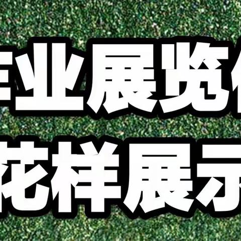 作业展览促“双减” ，花样展示秀风采 ——福顺镇榆树小学寒假作业展示交流活动