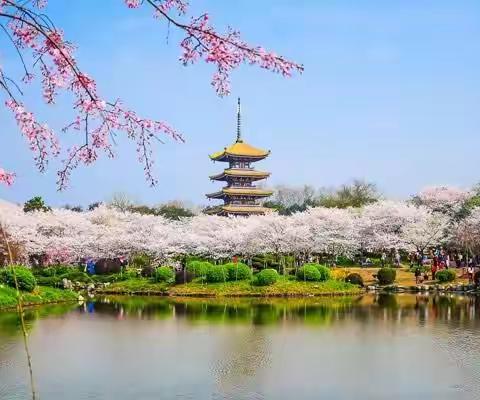 🌸🌸草长莺飞宅家日  🌸🌸🌸复小学童读书时🌸🌸