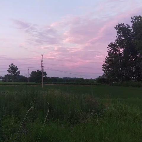 乘风破浪的美篇