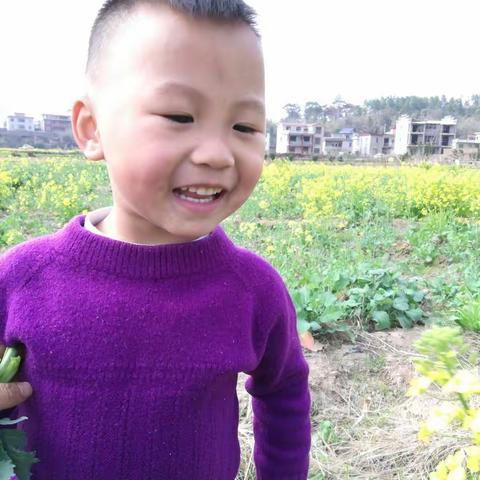 花海中的那个男孩