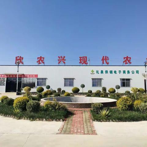 陕西欣农兴农业开发有限公司招聘简章