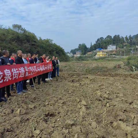 凝心聚力助秋种 党群同心促振兴 ——龙泉街道机关第一、第二党支部开展“抓秋种 保安全 促振兴”主题党日活动