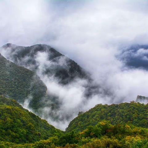 初见 黎城