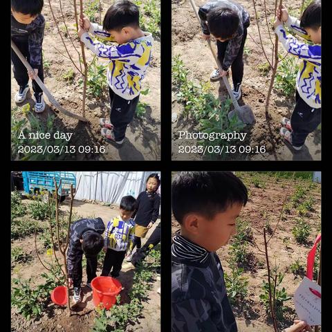 “值”此青绿，不负时光——嘉国一中三一班实践活动