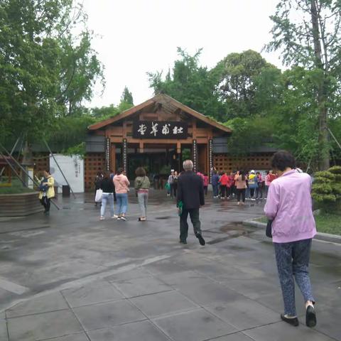 细雨蒙蒙游草堂