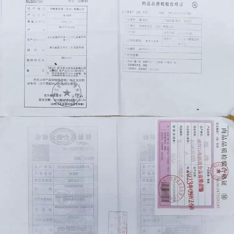 美好“食”光，安全同行——武汉市江汉区华苑小学食堂食品安全及安全生产操作工作