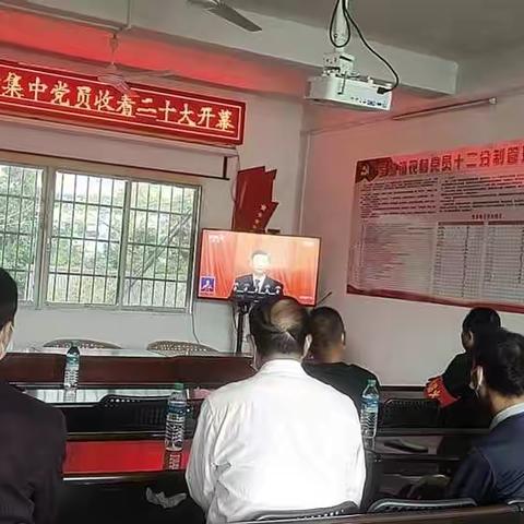 罗坳镇杨梅村党支部组织党员收听收看二十大开幕大会