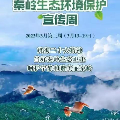 【碑林教育】保护秦岭生态，共享绿水青山