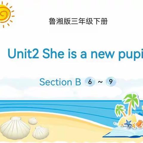 鄢陵县人民路小学“三课活动”—She is a new pupil.