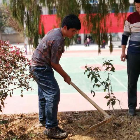 “建绿色校园，树绿色理想”—中方县新路河镇学校开展义务植树活动