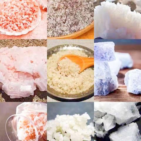 【班本课程】———“魅力盐城 粒粒精彩”