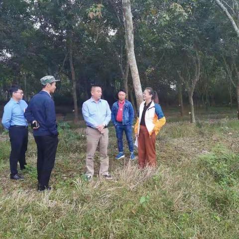 县委常委、组织部部长符气和到双塘调研