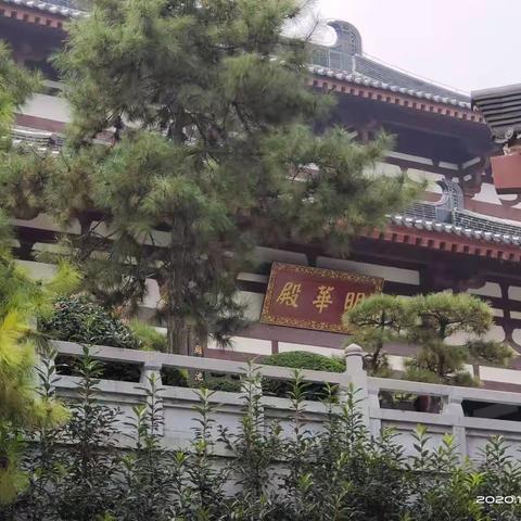 我的旅游篇