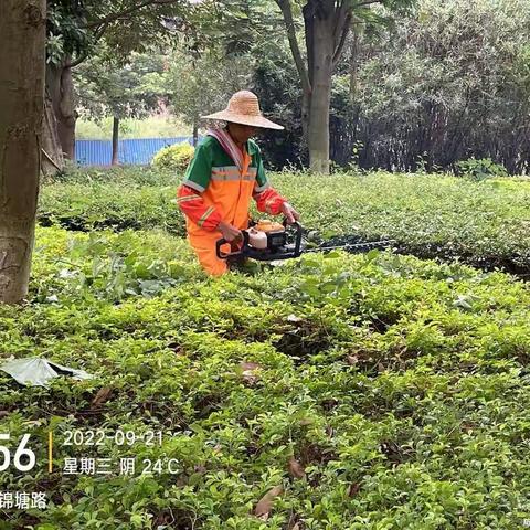 佛山市三水区国瀚城市服务有限公司-大塘项目9月份第四周工作简报