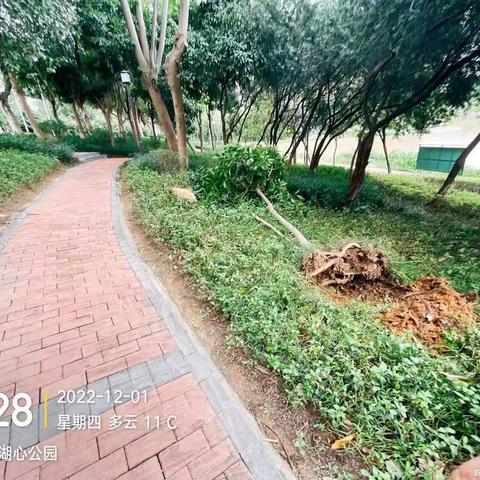 佛山市三水区国瀚市服务有限公司-大塘镇“智慧城市管家项目12月1日工作简报”