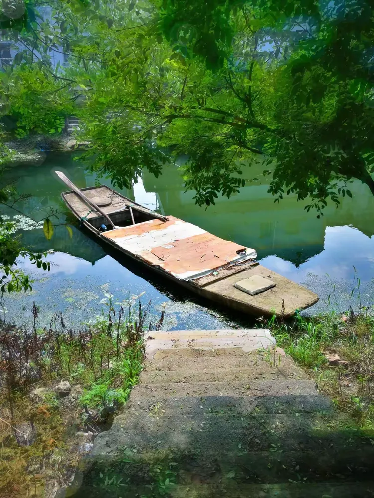 寻觅漾东 遥寄乡愁