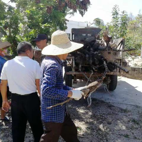 文质村积极推进农村人居环境卫生整治