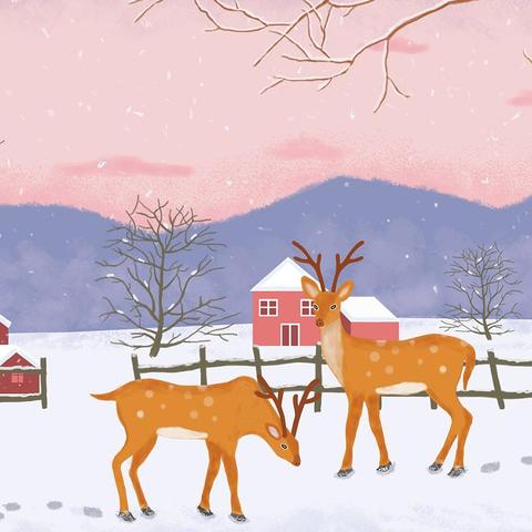 长安区第一初级中学营养午餐晒餐啦！