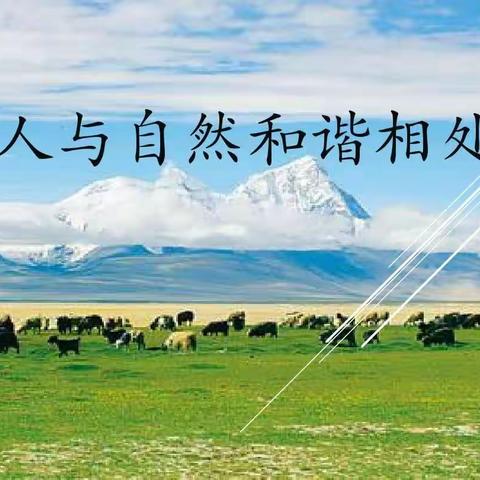 人与自然和谐相处