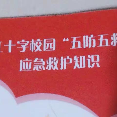 王思雪的美篇