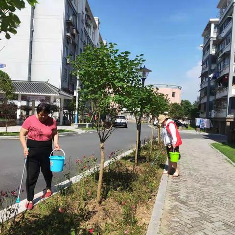 创文在行动|柚苑社区联创不放松 整治在行动