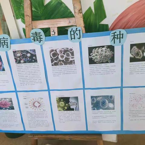 未来星探究病毒