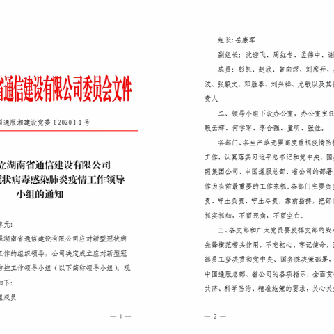 众志成城，共抗疫情—湖南省通信建设有限公司第二党支部在行动