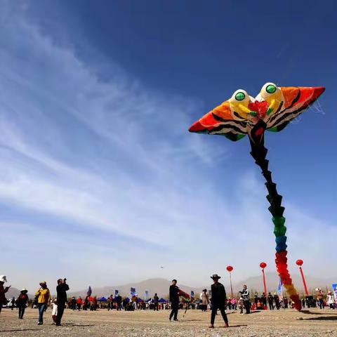 临泽县第二届风筝美食嘉年华活动摄影作品展