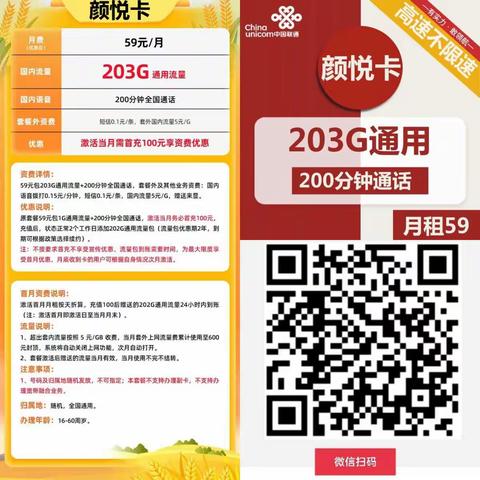 59元203g200分钟到期可续