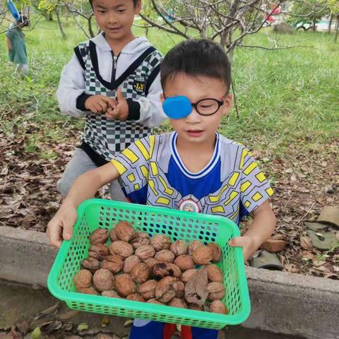 洛阳市孟津区横水镇中心幼儿园—“秋季大丰收”教育活动纪实