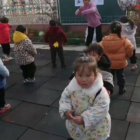 杨集中心幼儿园  三只小猫