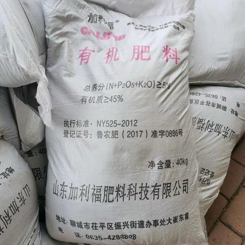 【牛泉镇东牛泉村】促进农业生产 助力乡村振兴