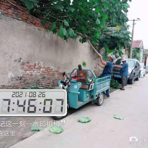 牛泉镇东牛泉村—开展环境卫生整治，营造清洁生活环境