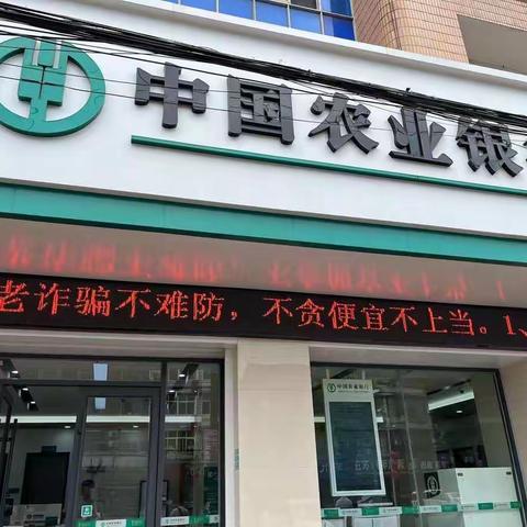 洪湖支行开展整治养老诈骗宣传活动