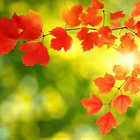 与您沟通【五年三班】