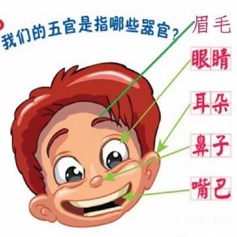 嘟嘟小博士幼儿园小一班-「神奇的鼻子👃」