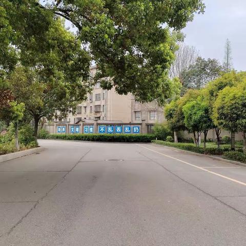 卫生值周实践活动