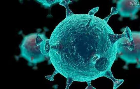 实验二小六3班赵恒谦的一天