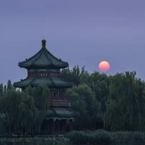 《荷花送》