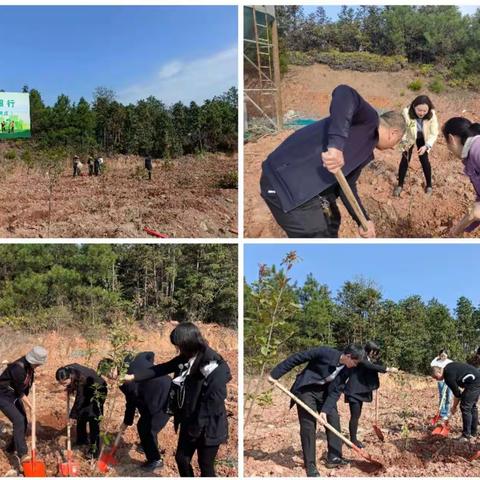 星沙支行团总支联合工会开展植树节活动，银政共建助力乡村振兴