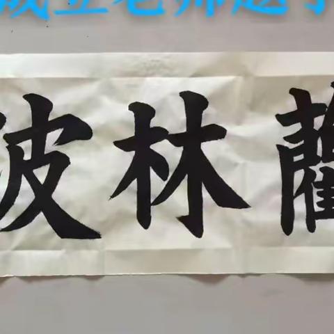 蔺林波书法简介