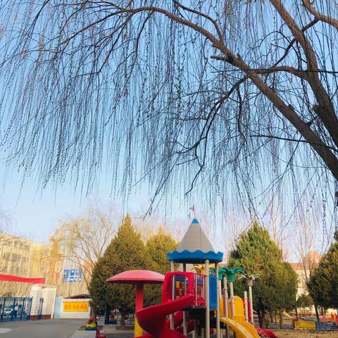 青海油田培训中心第四幼儿园大三班《每周欢乐体适能》