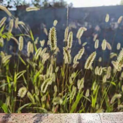 “落叶知秋，微风徐来，美好而至”大二班拥抱节活动