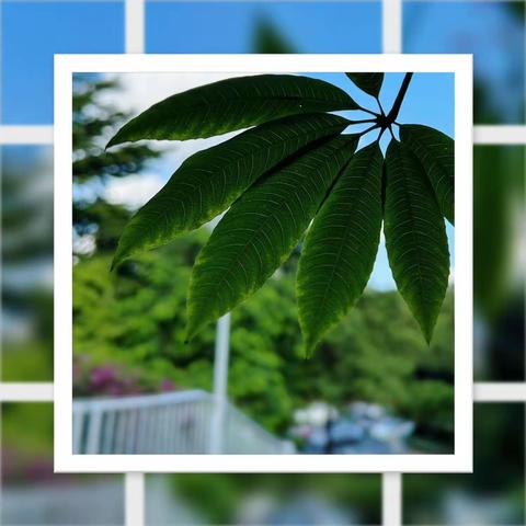 【秋】遇见初秋