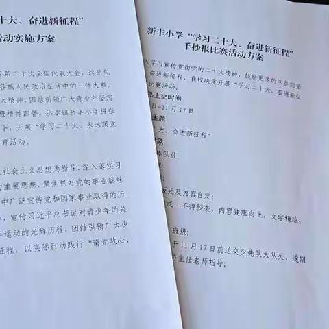 “学习二十大，奋进新征程”—新丰小学手抄报比赛
