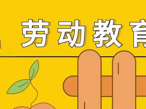 劳动教育（22机电大专二班周贤俊）